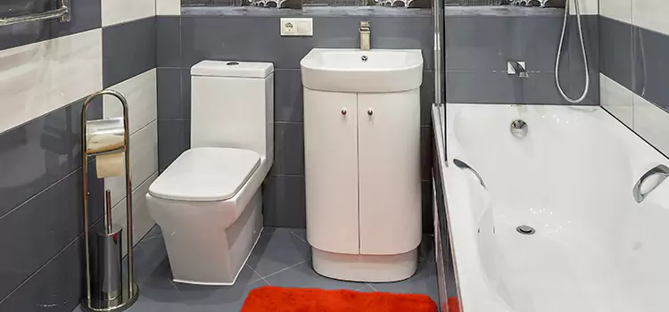 Hansgrohe Shaving Mirror Valley Stream