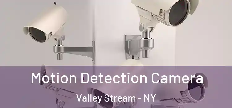 Motion Detection Camera Valley Stream - NY